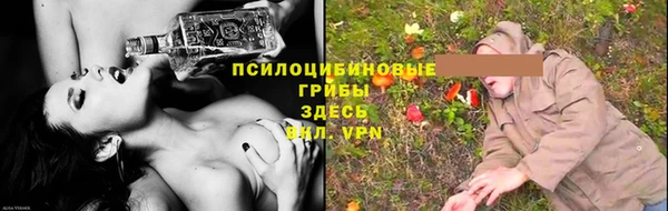 таблы Новодвинск