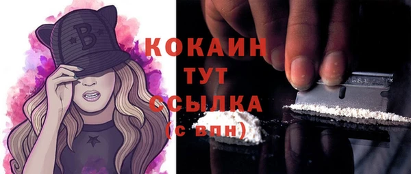 прущие грибы Новозыбков