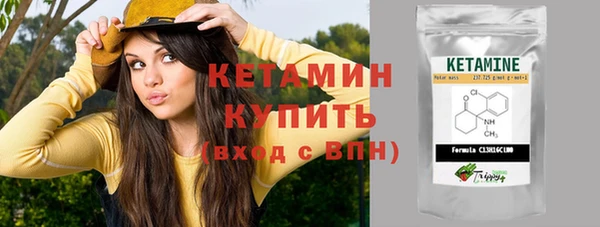 прущие грибы Новозыбков