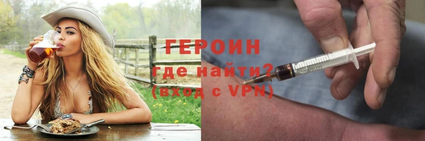 прущие грибы Новозыбков