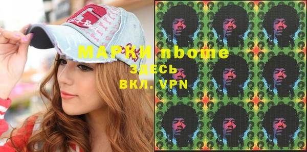 прущие грибы Новозыбков