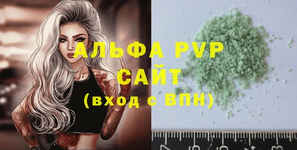 прущие грибы Новозыбков