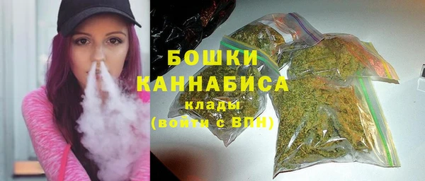 индика Каменск-Шахтинский