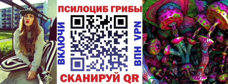 Псилоцибиновые грибы Magic Shrooms OMG маркетплейс Колпашево